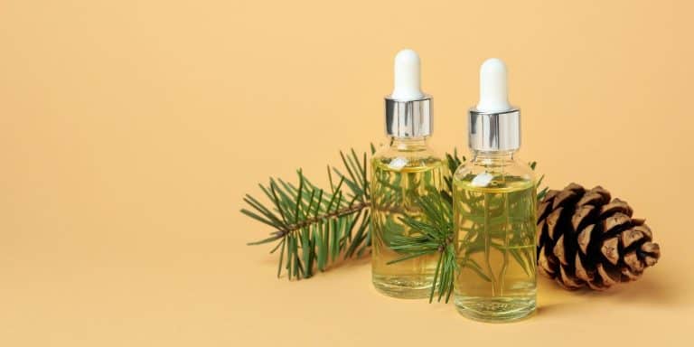 Rosemary Oil for Curly Hair: Benefits And Uses