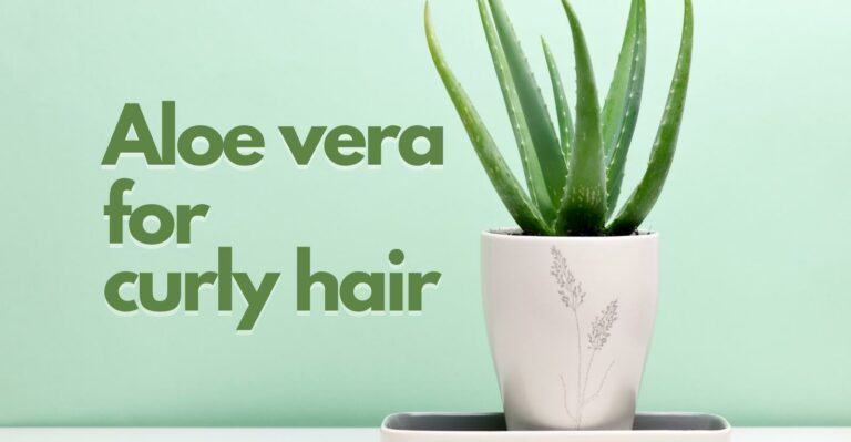 Benefits of Aloe Vera Gel For Curly Hair