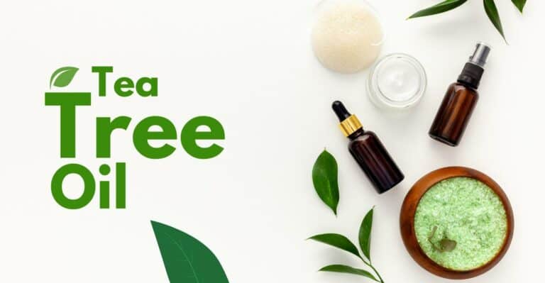 Tea tree oil for hair: Benefits and how to use