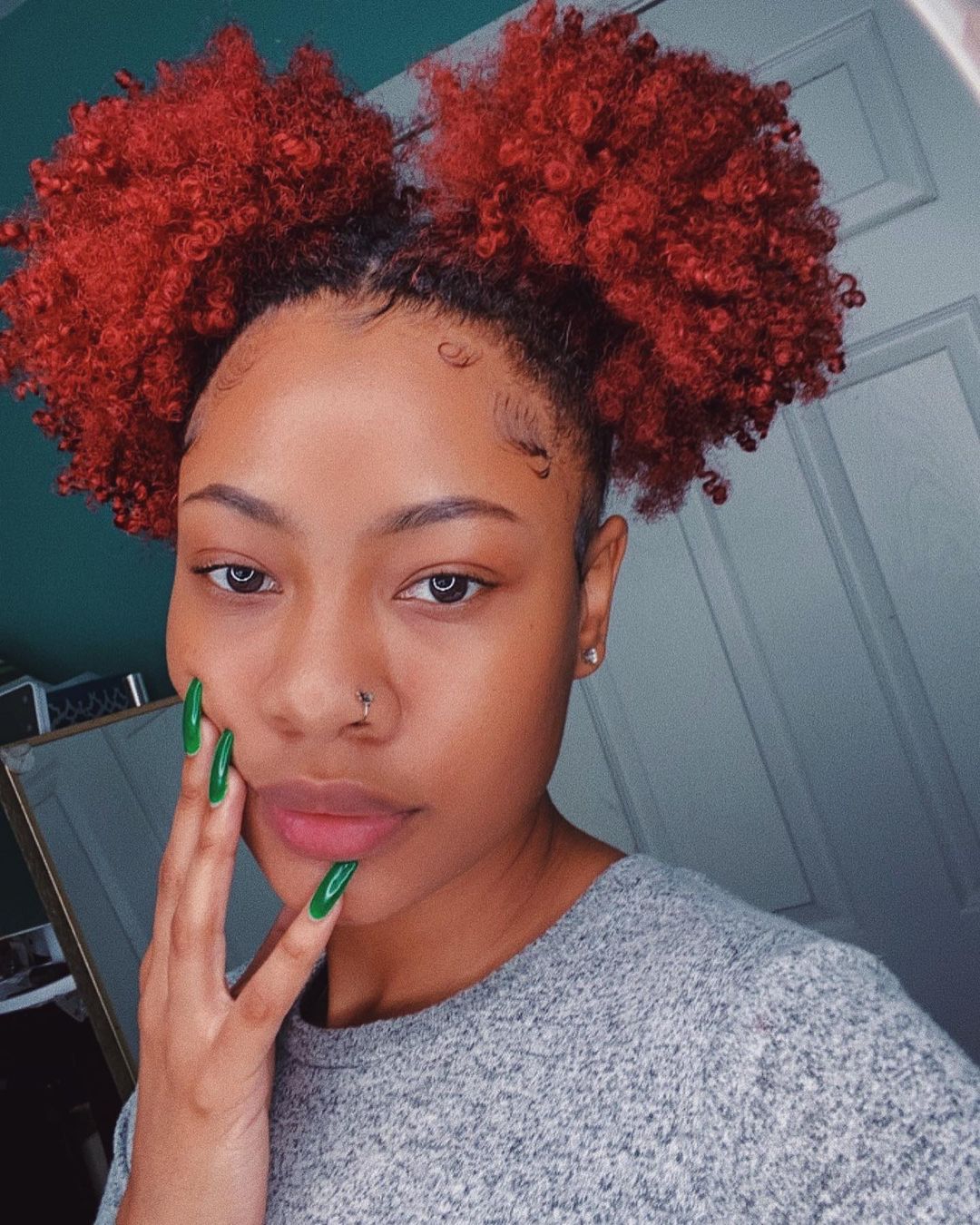 20 Stunning Natural Afro Hairstyles For Women