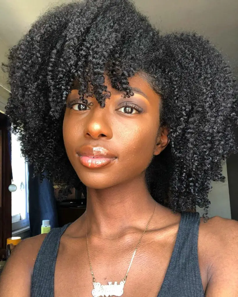 20 Stunning Natural Afro Hairstyles For Women