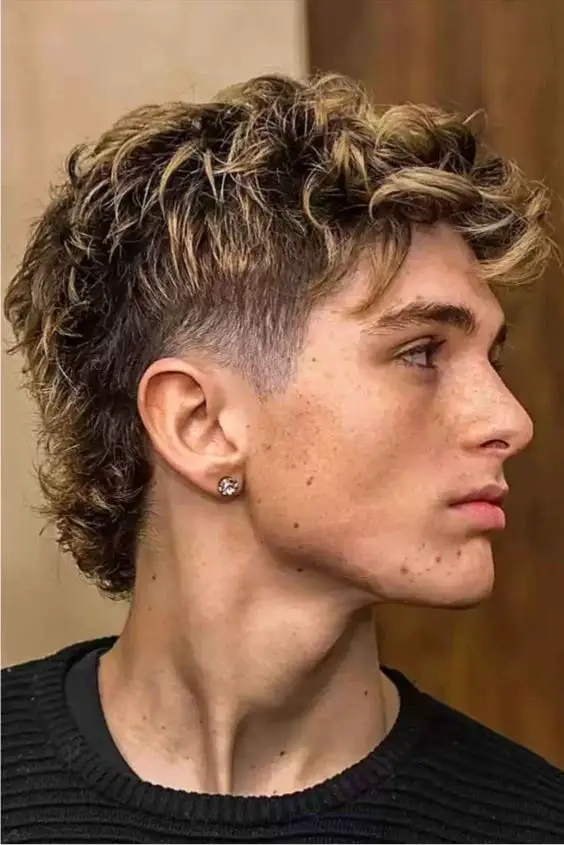 curly Mullet Fade hairstyles