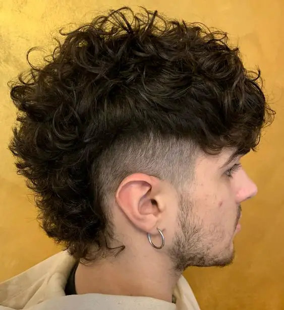 curly mullet fusion haircut
