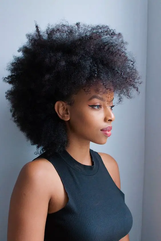 Classic Afro Puffs fizzy hair