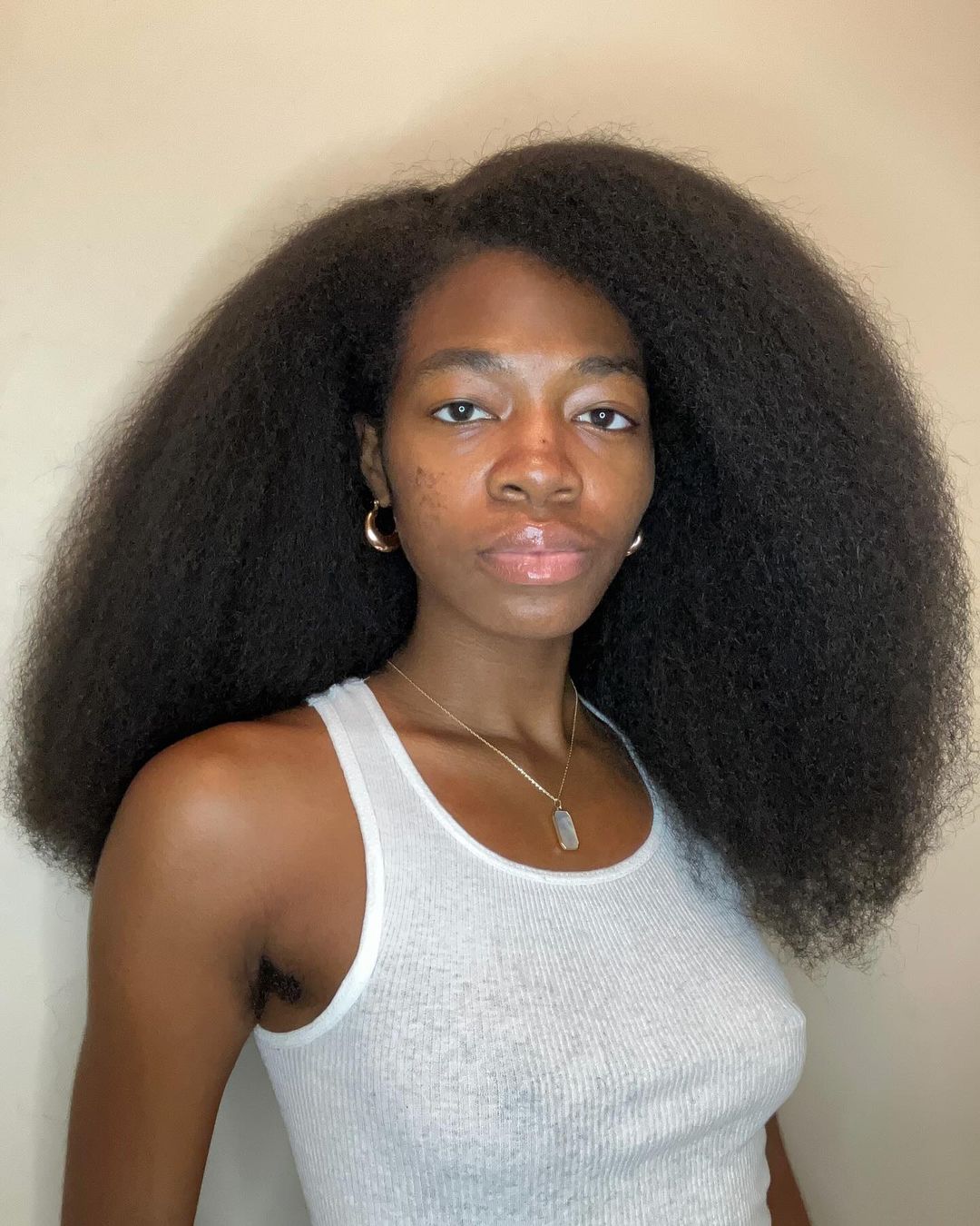 Fizzy afro hair by the.natural.breona
